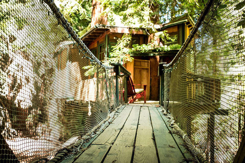Santa Cruz Mountains treehouse Cabin camping