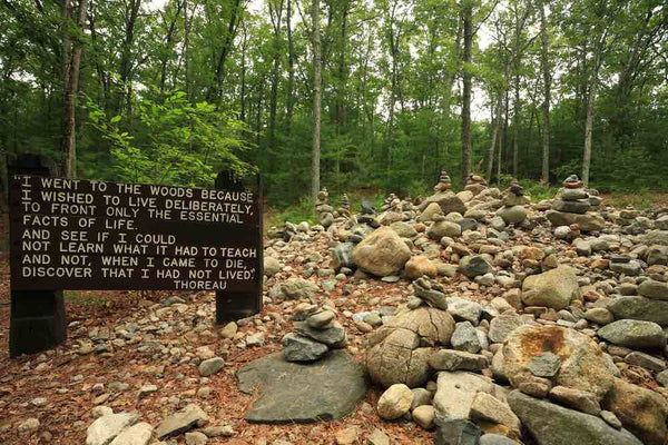 Walden Pond State Reservation