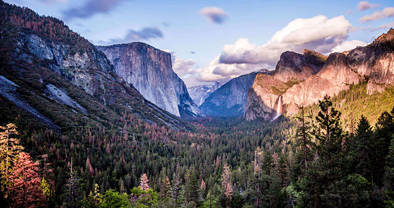 Yosemite National Park for family outdoor adventures