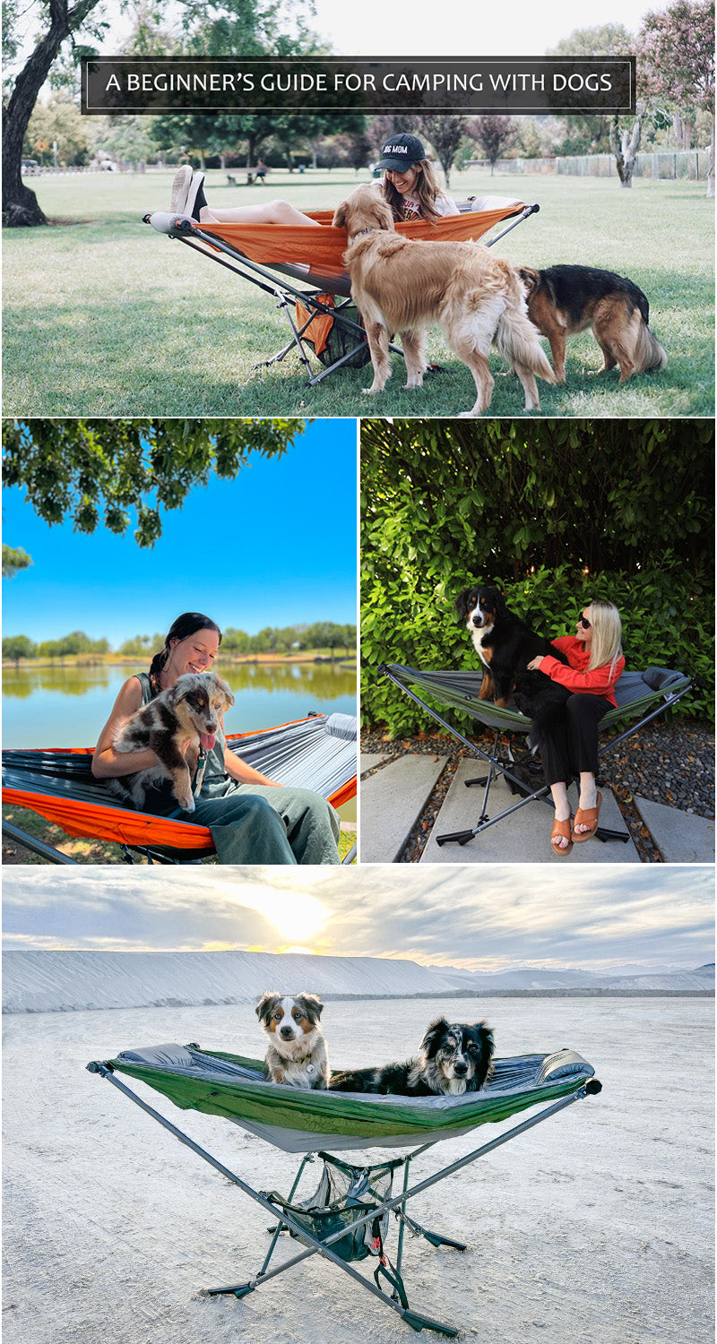 a beginner's guide for camping with dogs