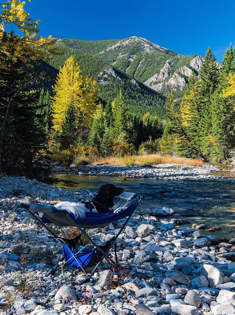 mountain camping with portable free standing hammock with dog