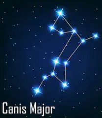 canis major constellation