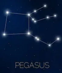 Pegasus constellation