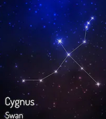 Cynus constellation