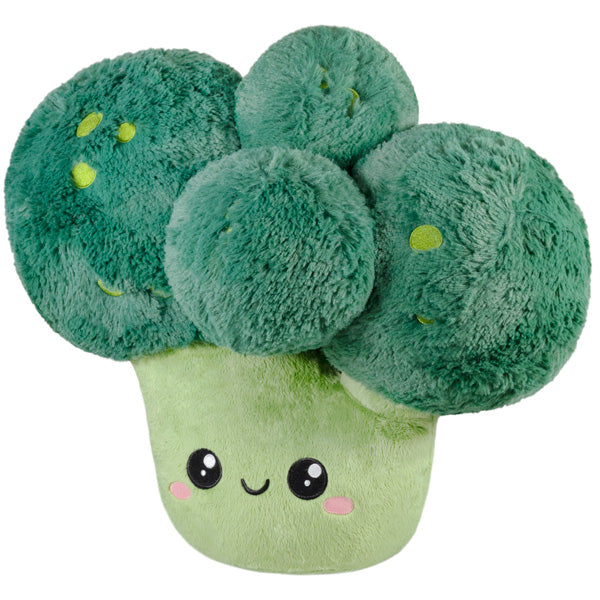 broccoli dog toy