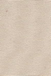 665_Eggshell.jpg