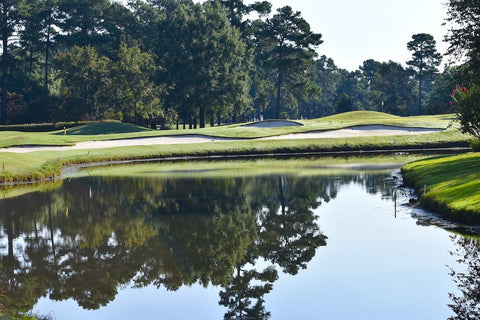 Image of a beautiful scenery at one of Myrtle Beach's top courses.