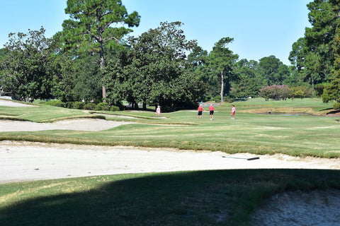 Image of a golf course.