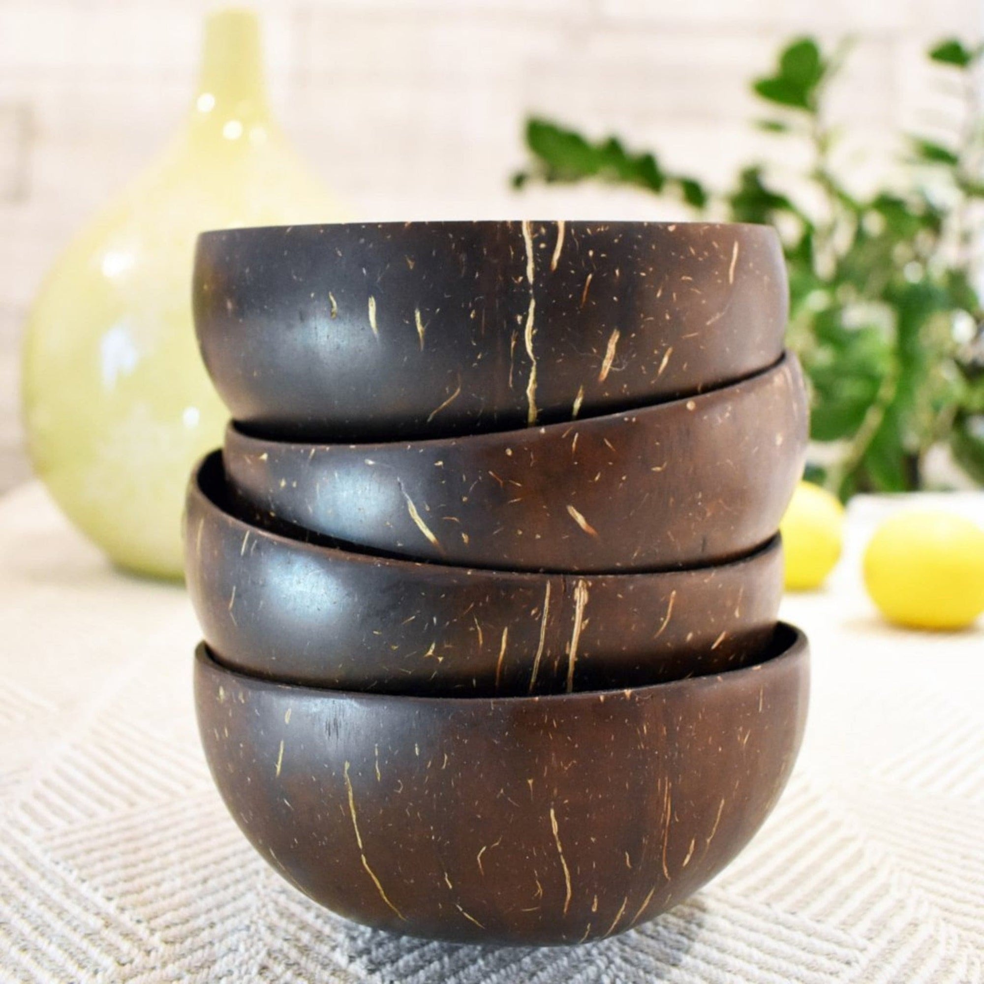 Buy Coconut Shell Soup Bowl an Spoon Online On Zwende