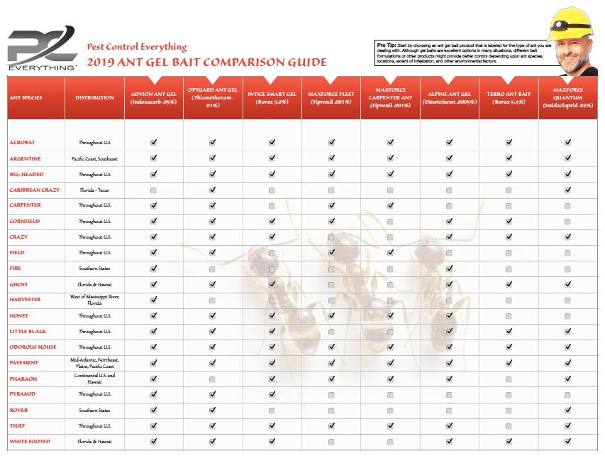 Ant Gel Bait Comparison Chart (**Updated 2022**)  Top 8 Ant Gel Baits –  Pest Control Everything