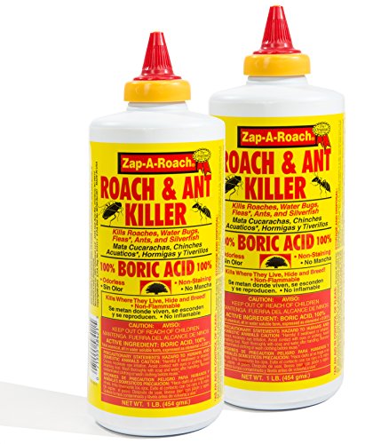 where to buy boric acid for roaches