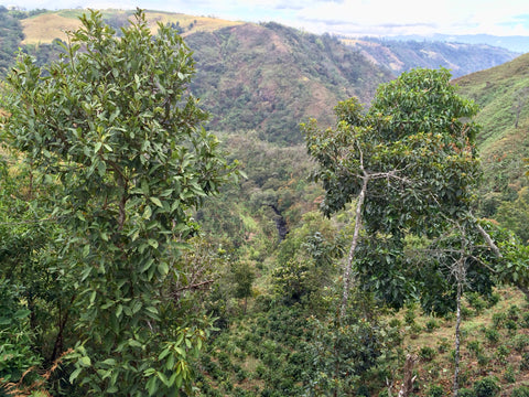 Colombia 