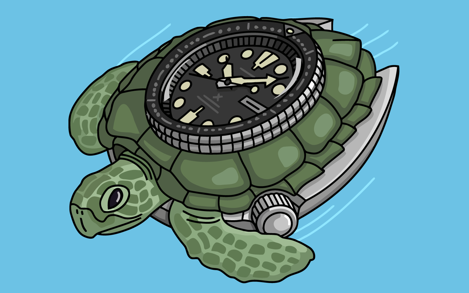 The Best Seiko Turtle For Watch Modding: The SRP777 – namokiMODS