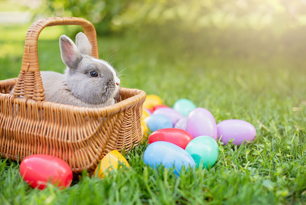 Download The Unusual History Of The Easter Bunny Easter Traditions Bunnies By The Bay