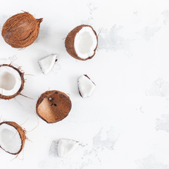 coconut husk and fruit