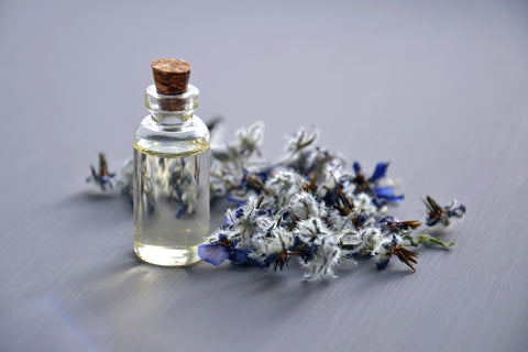 Borage oil natural skincare ingredient