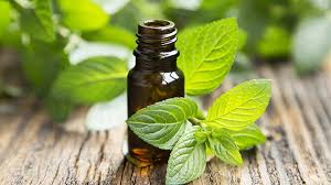 brown glass bottle surrounding by mint leaves