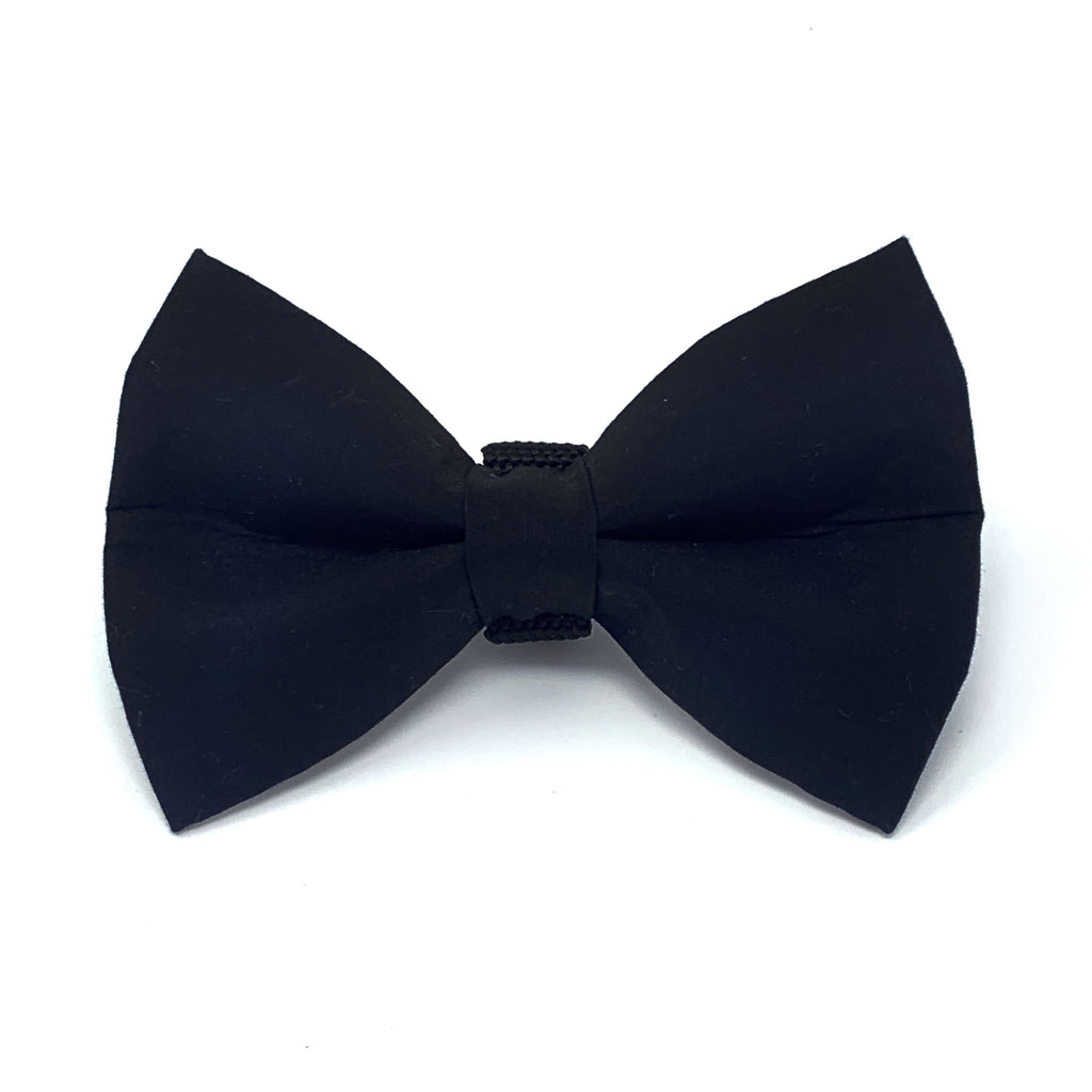 black dog bow tie