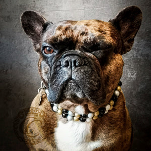 Dog collar Double Rolex Mood | Dog Collars | Cat Collars | CollarCrafts | dogcollar | collar | hondenband | Kattenhalsband | bead dog collars | cat mood collar | beaded dog collar | beaded dog collars | wooden bead dog collars | alu max com dog collars | beaded collars for dogs | rainbow dog collars
