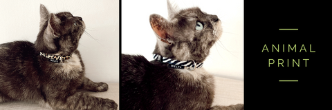 Collares para gatos con estilo animal print