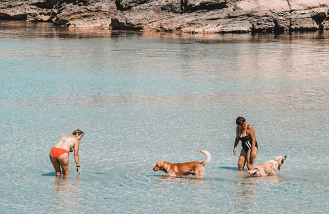 Perros y mujeres bañándose en una playa canina durante el verano