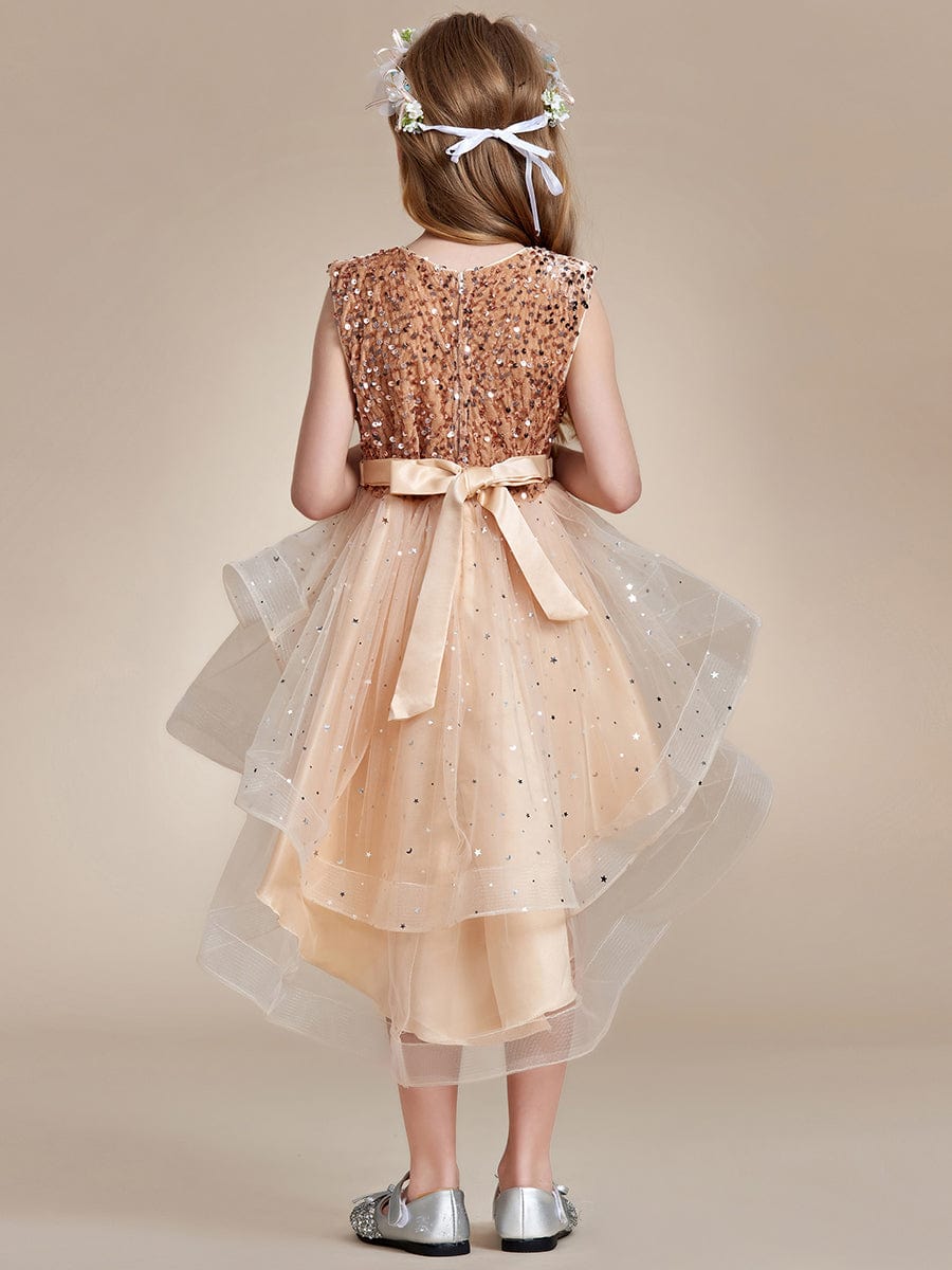 Sparkling Glitter High Low A-Line Sleeveless Multi-Layered Tulle Flower Girl Dress