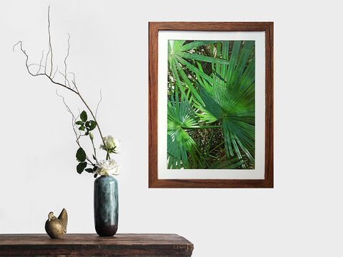 Rain forest photo by Mariah Cula in an Australian made Wombat Custom Frame