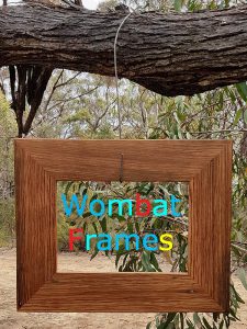 Wombat Frames A4 Recycled Brown Gum Picture Frames
