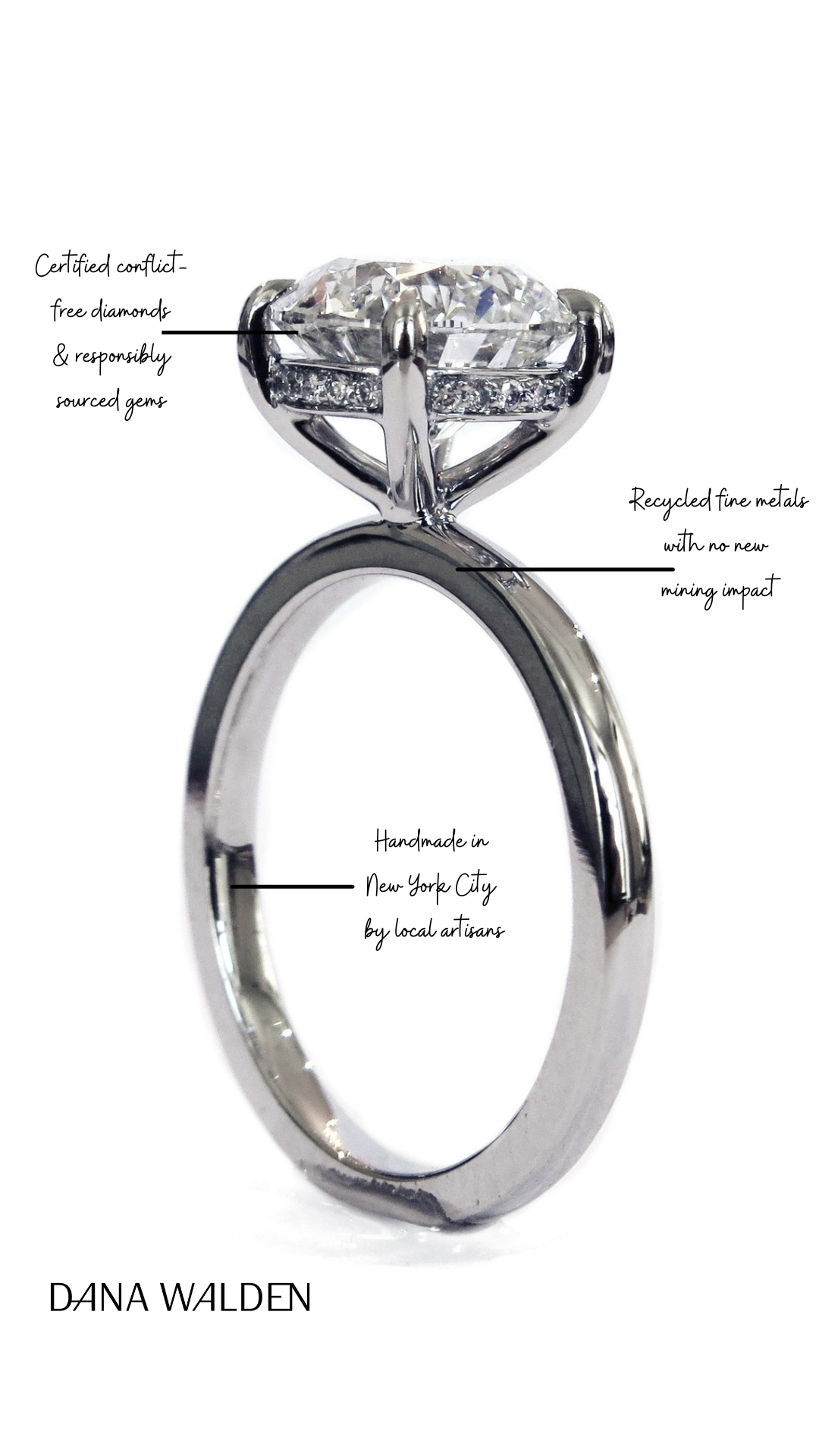 anatomy of an ethical ring