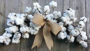 The Best Cotton in the World? – Caamano