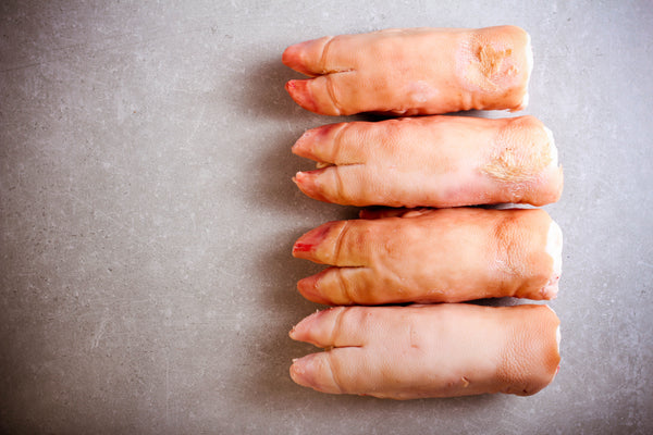 Las patas de cerdo son una opción ineficiente para la práctica de sutura.