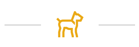 dog orange icon