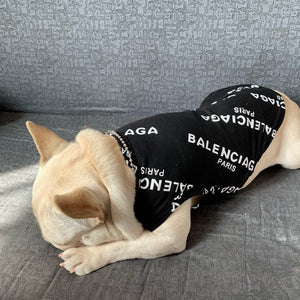 Balenciaga Vest - Purrfect Puppy