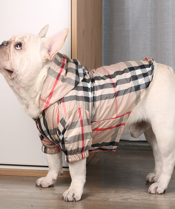 burberry dog jumper