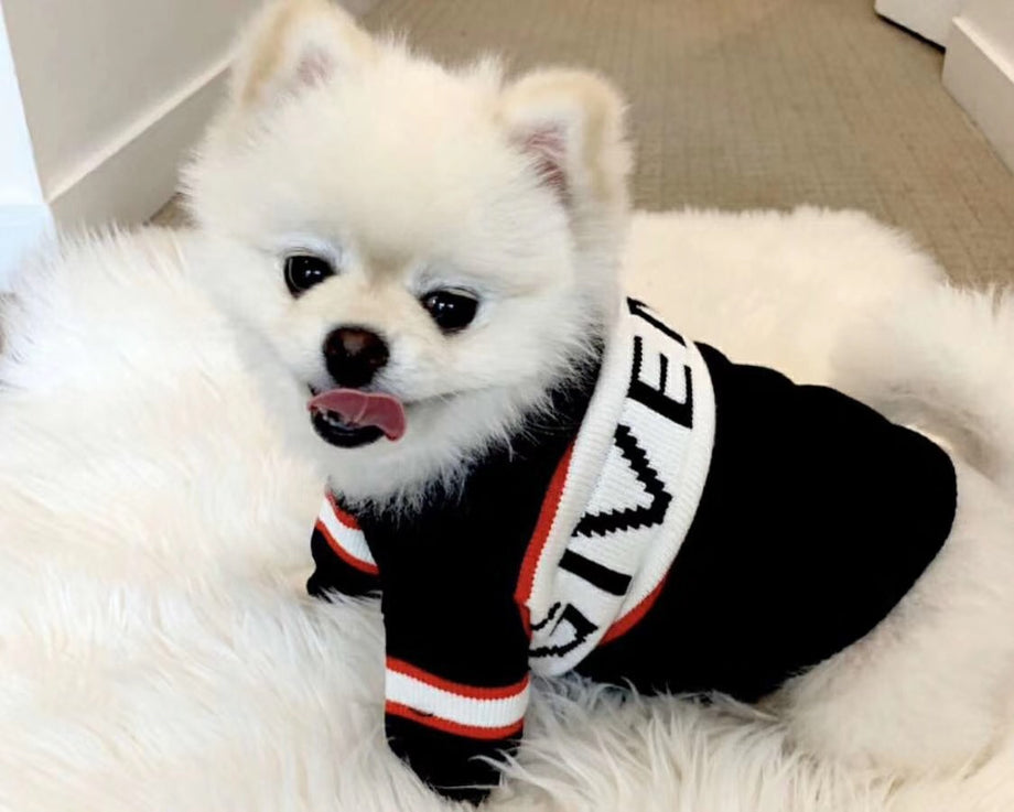 givenchy dog clothes