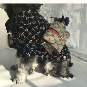 gucci outfits for dogs