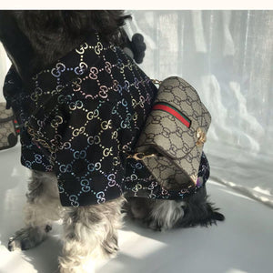 gucci hoodie for dogs