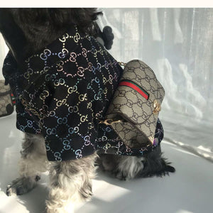 gucci puppy clothes