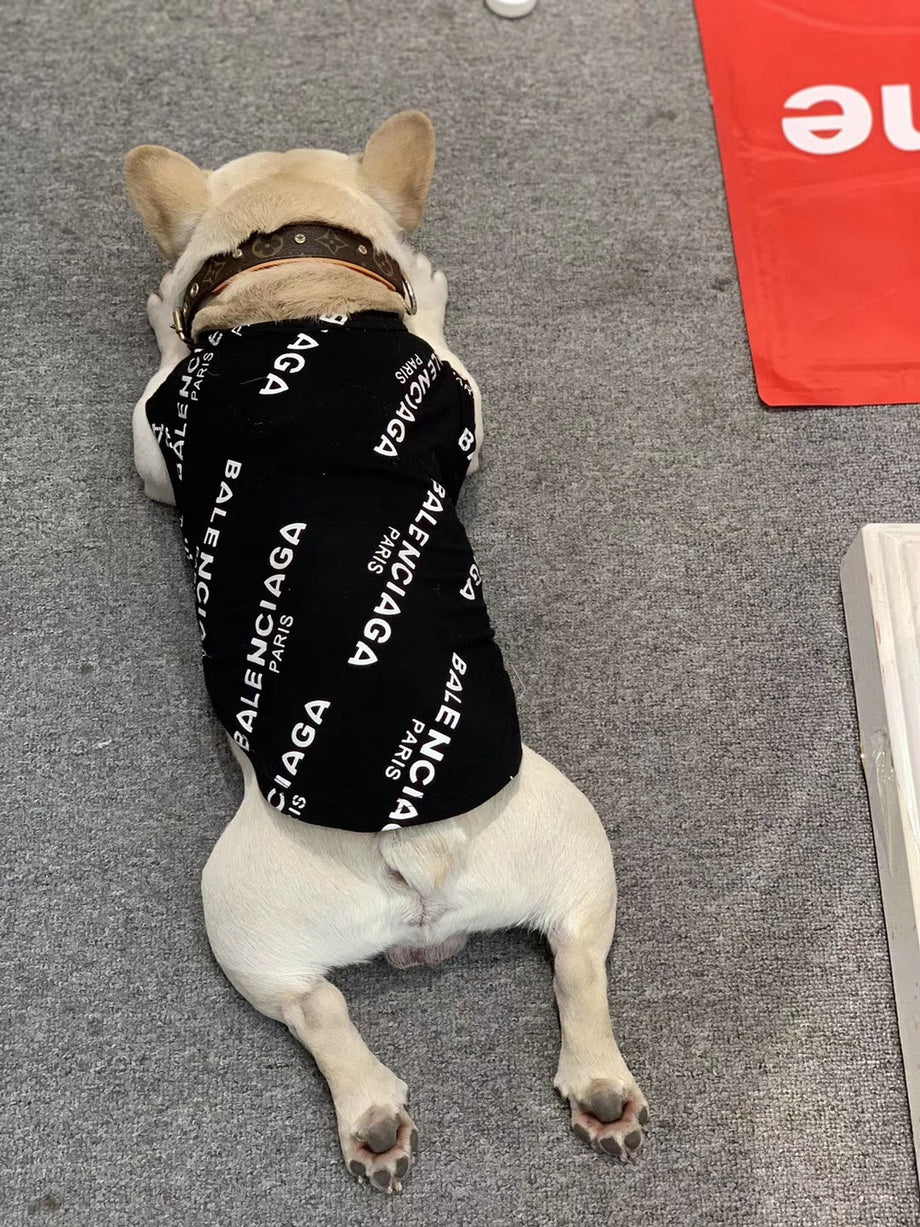 balenciaga dog shirt