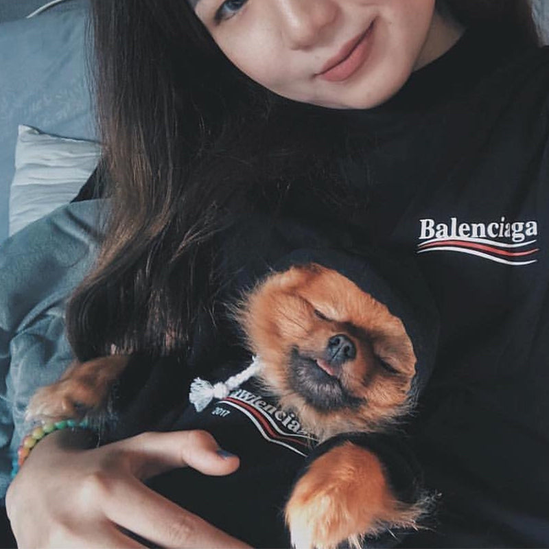 balenciaga sweater for dogs