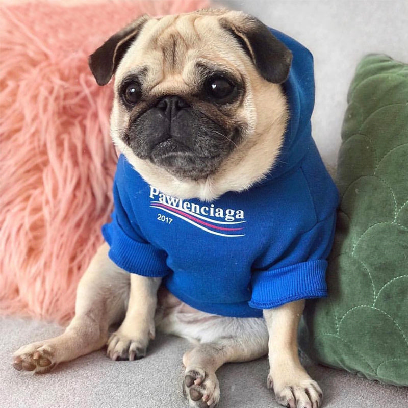 balenciaga dog hoodie