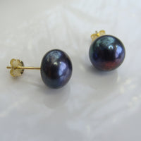 Cultured Black Pearl Stud Earrings gold