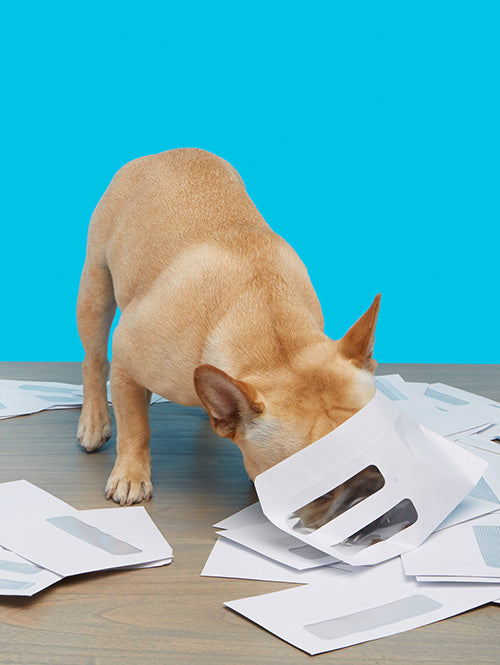 Larry with Number 10 Envelopes