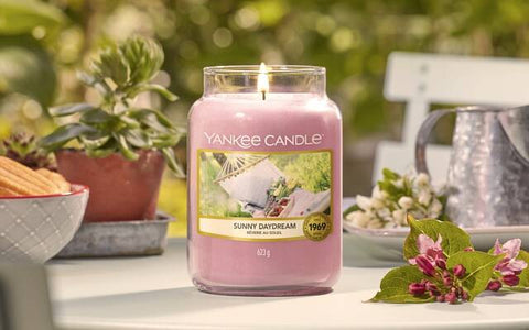 yankee candle famiflia famiglie olfattive 2020 novità profumazioni profumi candele candela profumata giara giare prezzo prezzi 