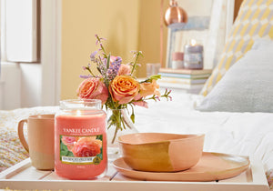 SUN-DRENCHED APRICOT ROSE -Yankee Candle- Giara Media