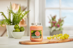 DELICIOUS GUAVA -Yankee Candle- Giara Media