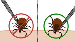 SonicGuard How to remove a Tick