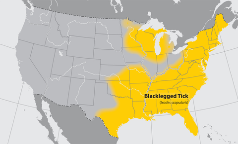 SonicGuard Tick Borne Diseased Map