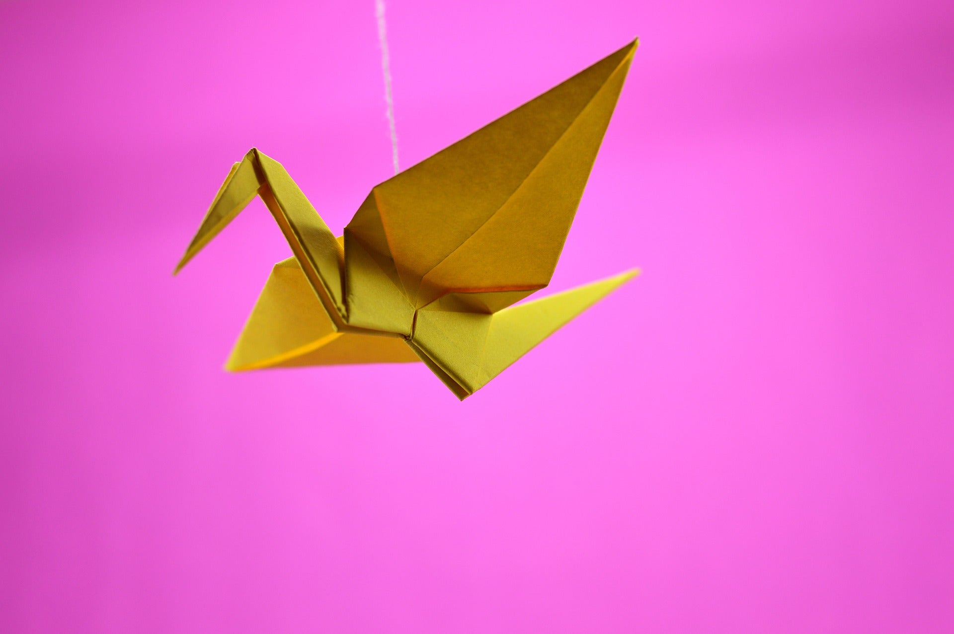 Origami made of paper