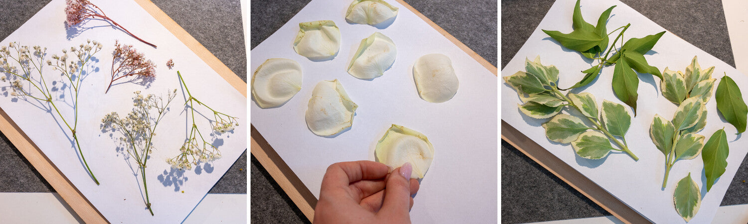 pressing flowers